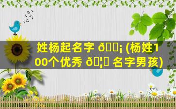 姓杨起名字 🐡 (杨姓100个优秀 🦟 名字男孩)
